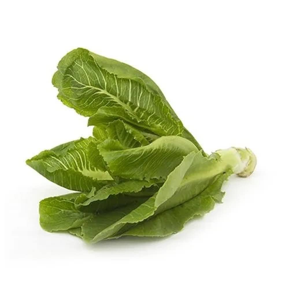 Lettuce, Romaine, 1 Piece (Appprox 250 gms)