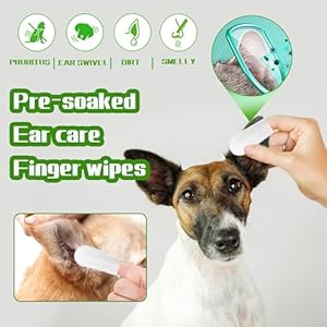   PET-Ear-Cleaner-Finger-Wipes-Ear-Finger-Wipes-Ear-Cleaning-Finger-Wipes-for-Dogs-Cats-Gently-Removes-Dirt-Odor-Dissolves-Wax-Build-Up-Easy-to-Use-Natural-Ingredients-55-Count