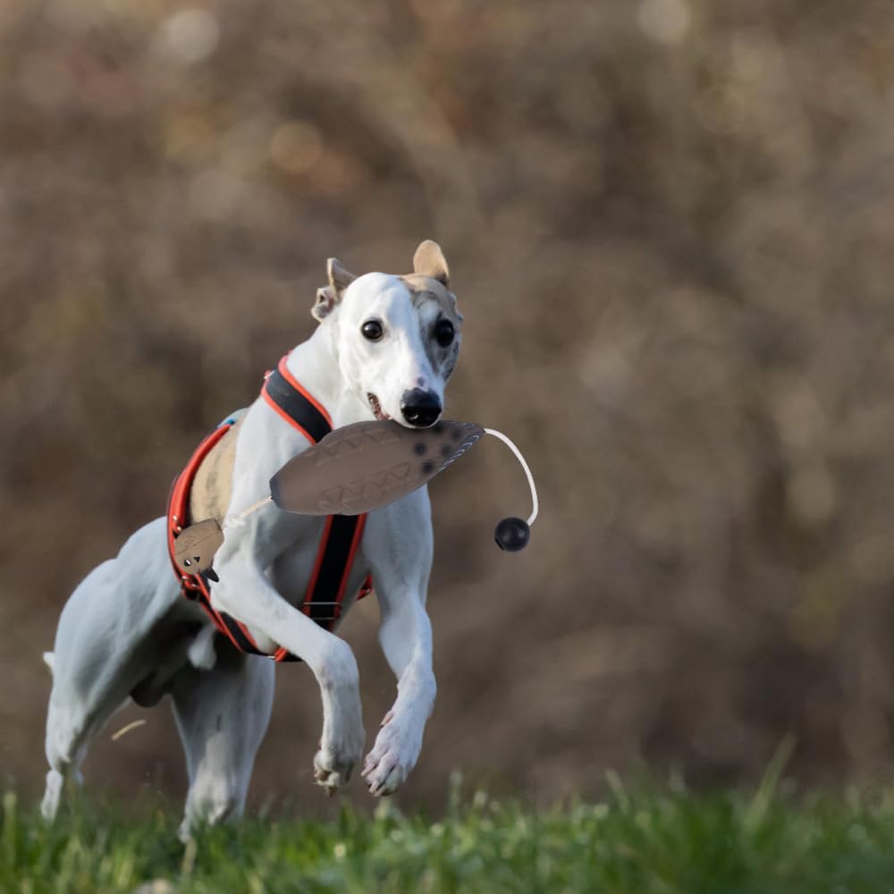 MiOYOOW Dummy zderzak, zabawka do treningu psów, manekin, akcesoria do treningu psów myśliwskich, umiejętności retriever