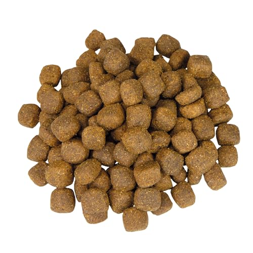 Veggie Dry - vegetarisches Hundefutter - ideal für alle Fleisch Allergiker 12 kg - Schecker Trockenfutter für Hunde