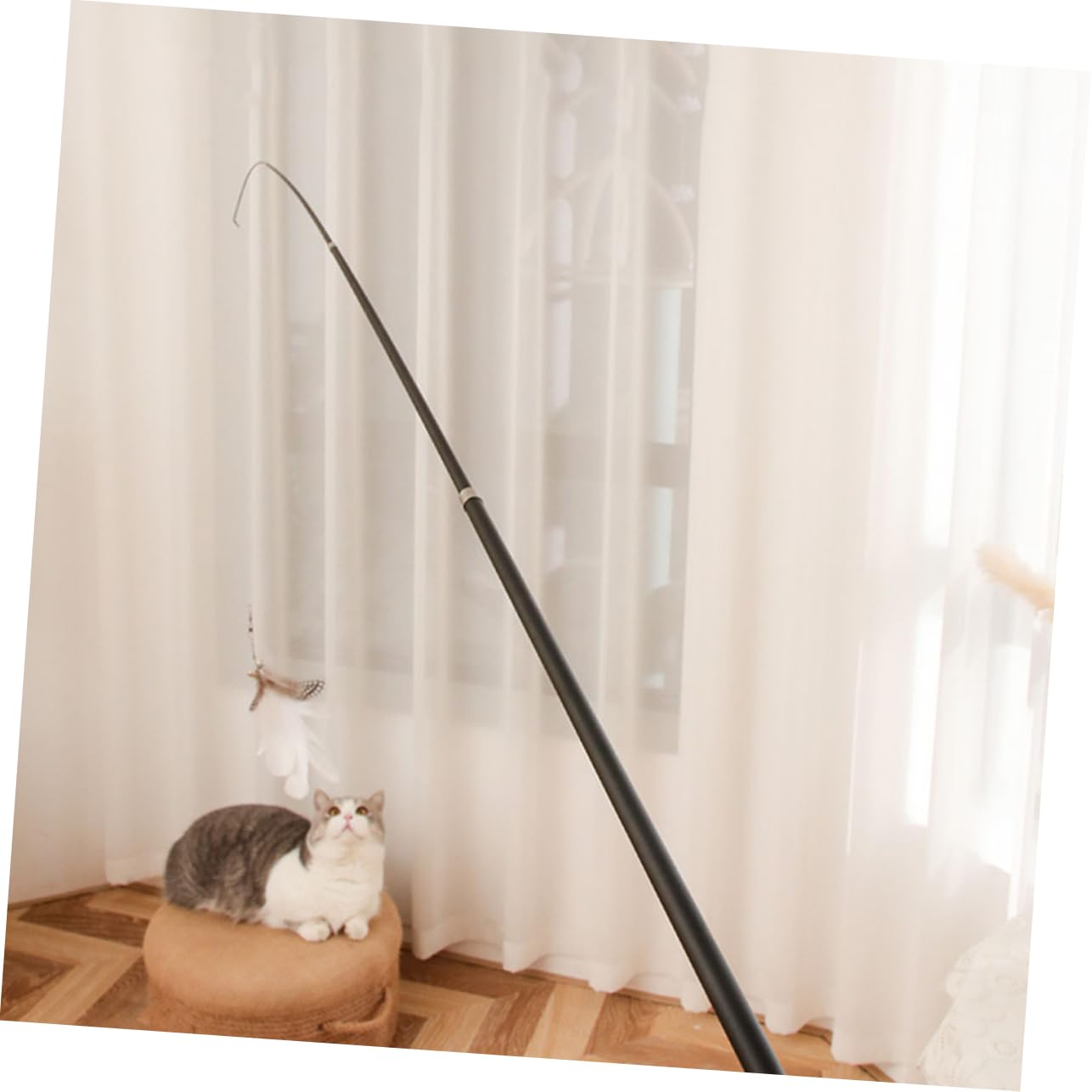 Yardwe 6stücke Katzenangel Spielzeug Teleskopische Katzenspielzeuge Mit Federn Lange Teaser-ruten Für Aktive Katzen Für Hausgebrauch Und Tägliches Spielvergnügen