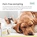My Pet Sensitivity Advanced Test - at-Home Pet Test | 460 Items | Quick Results | Non-Invasive Hair Collection | Comprehensive Food, Environment, Nutrient & Mineral Analysis | All Breeds & Ages