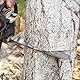 Eyoloty 4 Stück Sägekette 30cm 1/4 Teilung 1,1mm 64 Treibglieder Kettensägenkette Kompatibel mit Stihl Kettensägen 3670 000 0064 MSA 160 ms, MSA 60, MSA 70, MSA 120, MSA 140, MSA 160, MSA 200, MS 151
