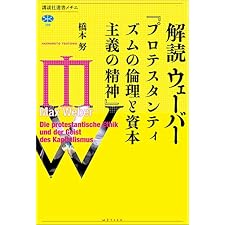 解読　ウェーバー『プロテスタンティズムの倫理と資本主義の精神』 (講談社選書メチエ)の表紙