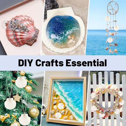 20 Stück Natürliche Weiße Fächermuscheln zum und Bemalen Deko, Muschelschalen für DIY Handwerk, Heimdekoration, Muscheldekoration, Bemalen Set, Muscheln zum Basteln, Aquarium, Hochzeit, Strandparty