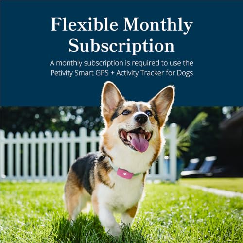 Image of petivity Smart GPS and Activity Dog Tracker Tag