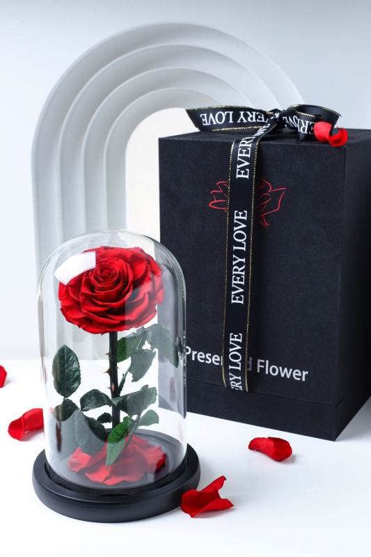 Red Rose in Dome, forever preserved rose for your loved one, valentine's day gift, valentine, Mother's day, anniversary gift, birthday, Christmas, Easter