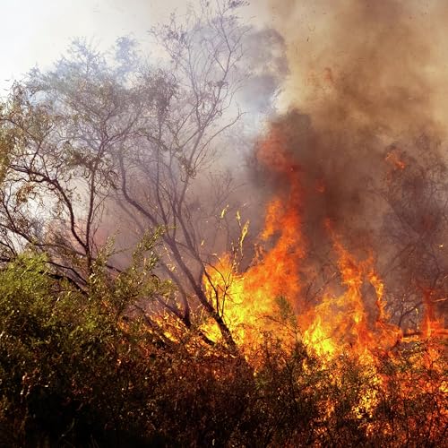 Authorities on alert with Extreme fire danger forecast for the Border today