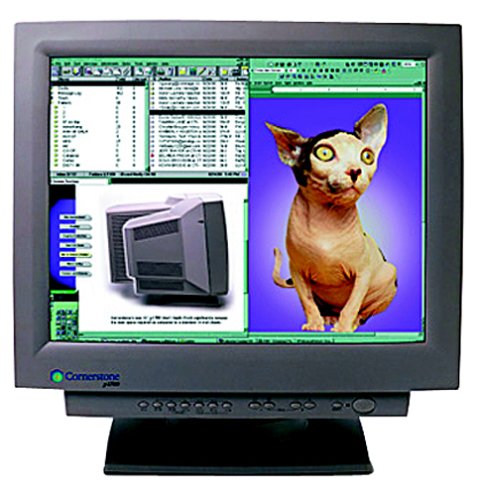 Image of CORNERSTONE P1700 21.1 inch CRT Monitor