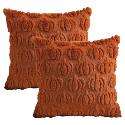 HTTDSLF 2 Stück Herbstdeko Kissenbezug 45x45cm Herbst Dekokissen Kissenhülle Kissenbezug Herbst Kissenhülle Plüschkürbis Dekorative Herbstkissen für Halloween Thanksgiving (Rostrot)