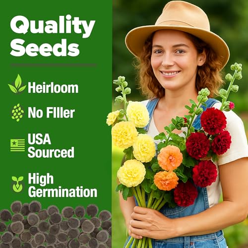 Image of HOME GROWN Hollyhock Summer Carnival Mix Flower Seeds - Alcea Rosea, Premium Annual Flower Seeds, 1000 Seeds for Planting Flowers, High-Germination Flower Seed Bulk Pack