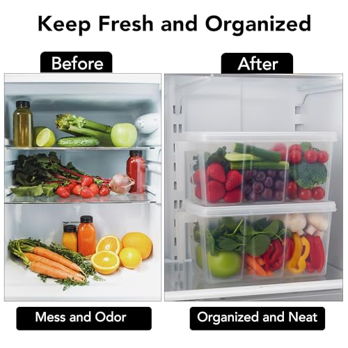 Image of Fridge Storage Boxes Food Grade Containers Plastic Storage Box With Cup, Lid And Handle - 5L Air Tight,Set Of 2, Transparent