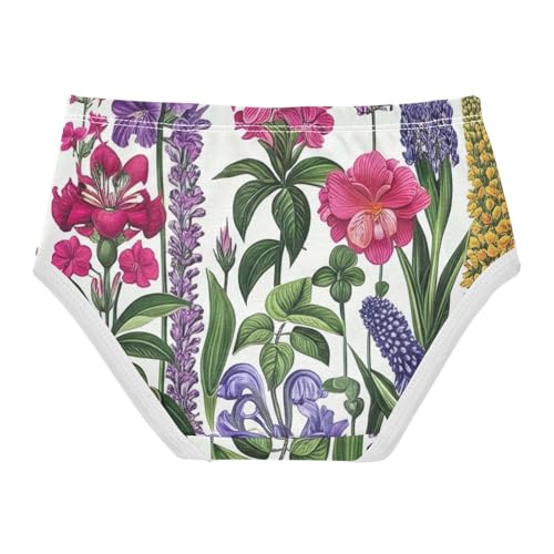Toddler Girls Underwear 2t Cotton Cute Panties Girl Print Underpants Briefs Vintage Botanical Flowers2