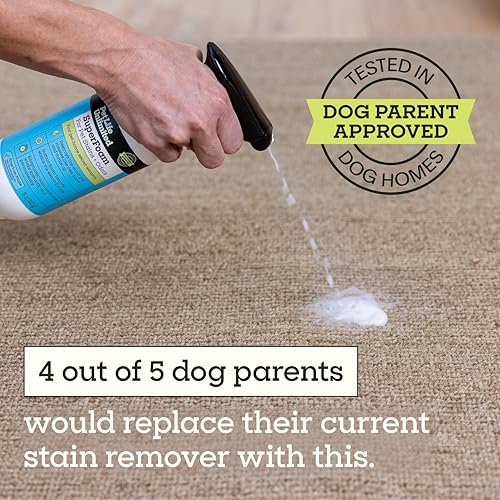 Image of Pet Life Unlimited SuperFoam for Pet Stains & Odors, Juniper Leaf, 16 fl oz