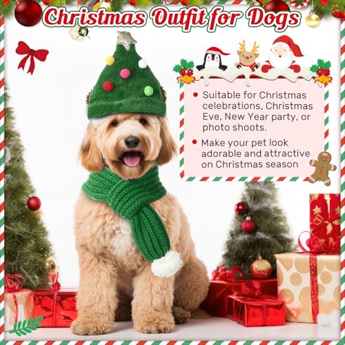 Conjunto de 4 Pcs Sombreros y Bufandas Navideñas para Perro miniatura 5