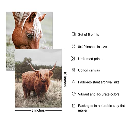Nature Western Highland Cow Wall Art Prints Set Of 6 Country Pictures Canvas Decor Horse Cactus Desert Boho Neutral Southwest Poster For Farmhouse Bedroom Home Room Wall Decor (8"X10" Unframed) #TOP1