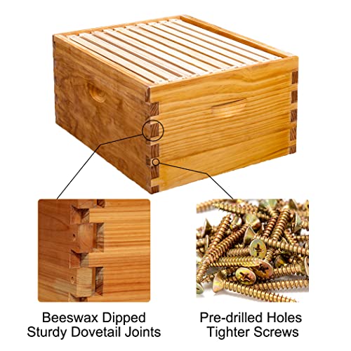 Honey Lake 10 Frame Bee Hive Starter Kit and Beekeeping Supplies, Beeswax Coated Bee Hives Boxes Starter Kit with Beehive Tool Kit Includes Bee Smoker Beekeeper Hat - Image 4