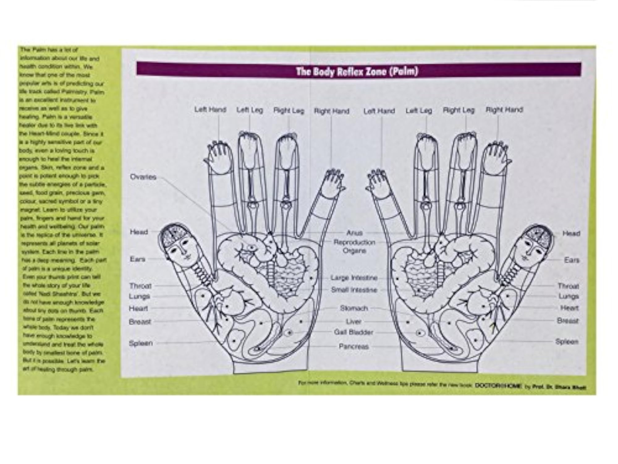 Percare Acupressure Dr. Rolle, Health Tool