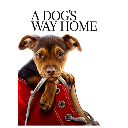 Dog's Way Home, A