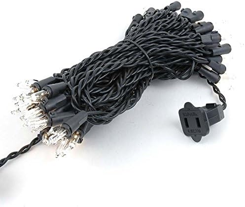 Novelty Lights 50 Light Clear Christmas Mini String Light Set, Black Wire, Indoor/Outdoor UL Listed, 25' Long