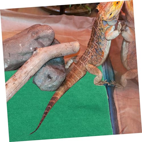 COLLBATH Reptile Pad para Tortugas, Lagartos y Arañas miniatura 4