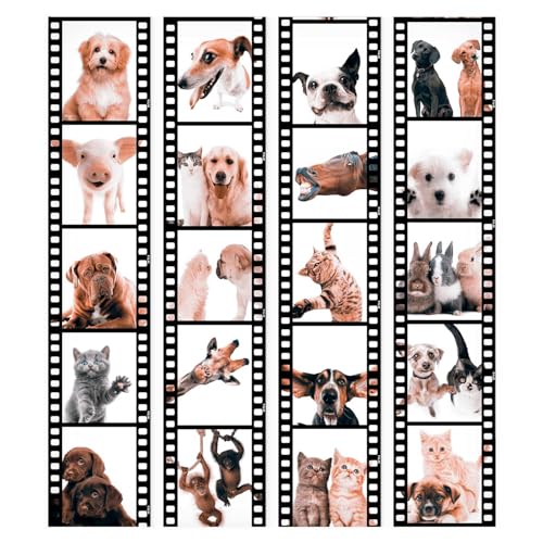 {Fotomurales Decorativos Pared Xxl Fotomurales Decorativos Pared murando Papel Pintado PURO 10m Fotomurales tejido no tejido rollo Decoración de Pared decorativos Murales XXL moderna de...