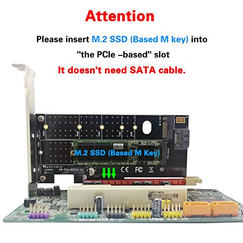 image for QNINE Dual M.2 PCIe Adapter, M.2 NVME SSD M Key or M.2 SATA SSD B Key 