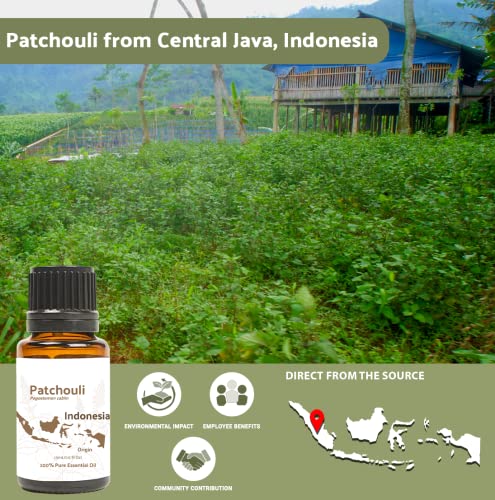 Nature Packaged Dark Patchouli Essential Oil - Bulk Essential Oil Perfume - Pure Essential Oil For Aromatherapy And Oil Diffuser - Ideal For Body & Candle-Making (15Ml) #TOP2
