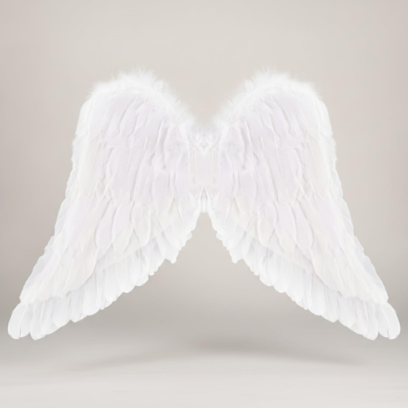 Falangi Angeliche con Piume Comode, Media 80 × 60 Cm, color to 2