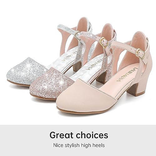 LAURMOSA Heels for Girls Silver Dress Shoes Girl Sandals for Wedding Party Dinner Closed Toe Low Chunky Block Ankle Strap Pump Shoes for Little Big Kids(L1013Silver 3)