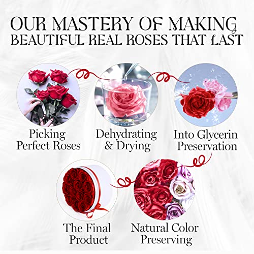 Glamour Boutique 12REDVELVET Forever Flower Gift Box: 12 Real Preserved Roses In Velvet White Box thumb #6