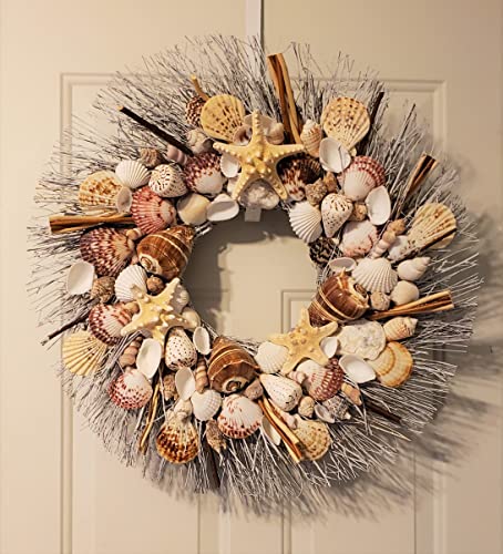 20" Sea Shell Wreath On Birch Twig With Crown Shells In 5 Designs #TOP1