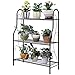 Q&Z Porta Vasi per Fiori in Ferro,Scaffale Fioriera,Ferro Flower Pot Stand Mid Century Plant Stand 3 Ripiani Alzata Porta Piante Scaffale di Stoccaggio Scarpiera per Interni Esterni