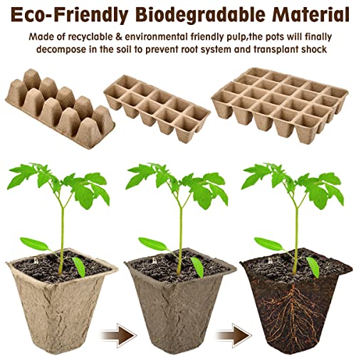 OTYMIOW 200 Cells Seedling Trays, 20PCS Seed Pots and Trays - Image 3