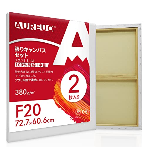 AUREUO 張りキャンバス セット F20 (72.7cmX60.6cm) 中目 100％コットン 2枚 初心者 絵画用具 芸術絵創作 現代油絵 美術装飾 水彩画・油絵画・アクリル兼用