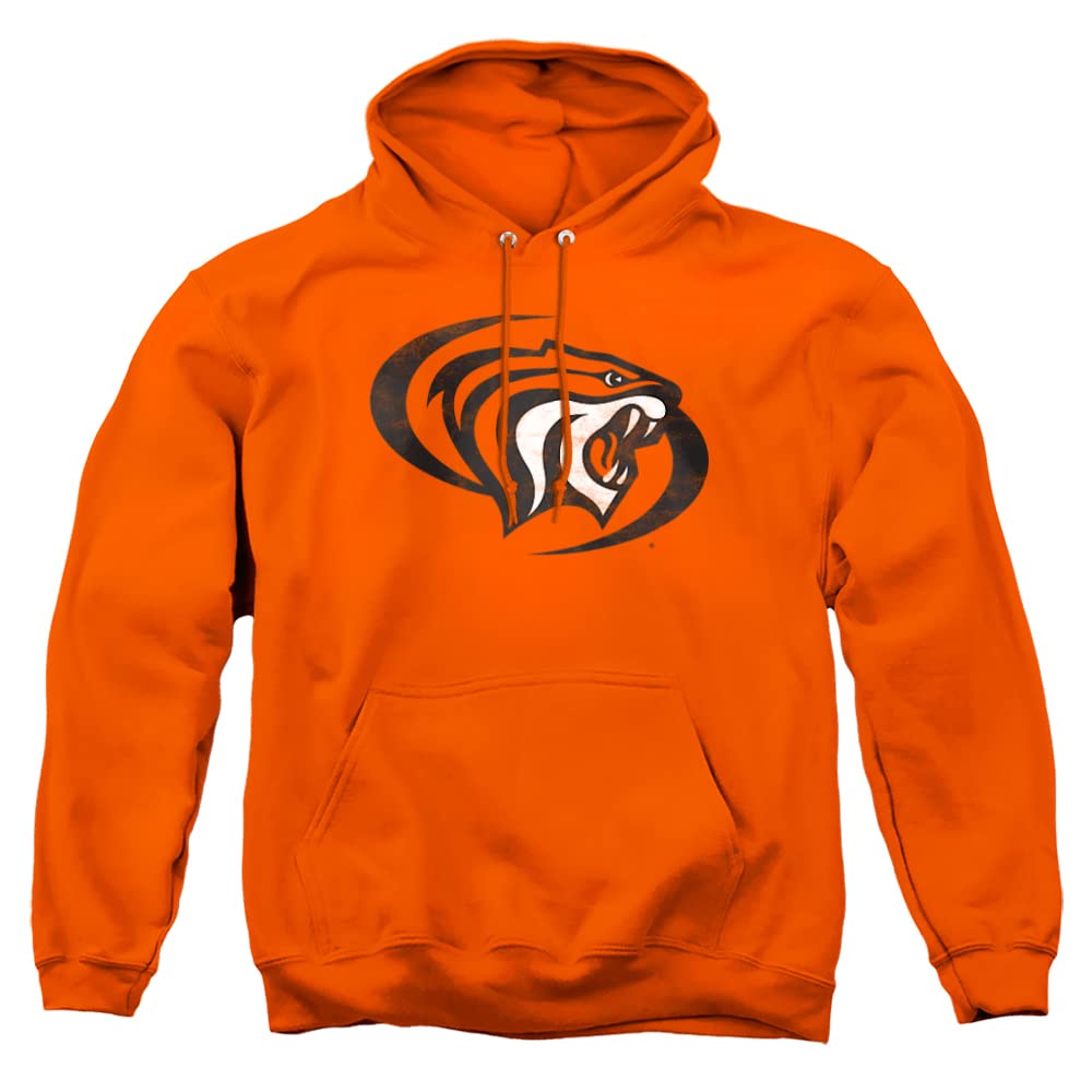 LOGOVISION Official Collegiate Distressed Primary Logo Adult Pullover Hoodie Collection — view 383