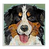 Stupell Industries Bernese Mountain Dog Portrait Layered Ephemera Collage Wood Wall Art, Design By Traci Anderson