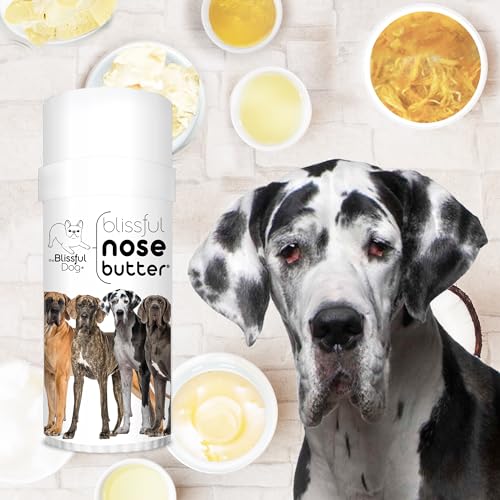 Image of The Blissful Dog Great Dane Unscented Nose Butter - Dog Nose Butter, 2 Ounce