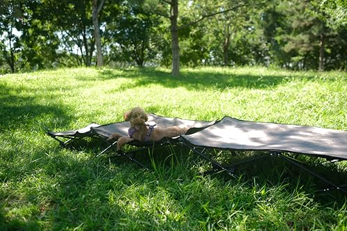 KingCamp Erhöhtes Hundebett Hundeliege Outdoor Haustierbett Haustierliege Atmungsaktivem Mesh & Wildledermatte & Rutschfesten Füßen für Reisen Garten Outdoor Indoor, Schwarz 77 x 77 x 30 cm