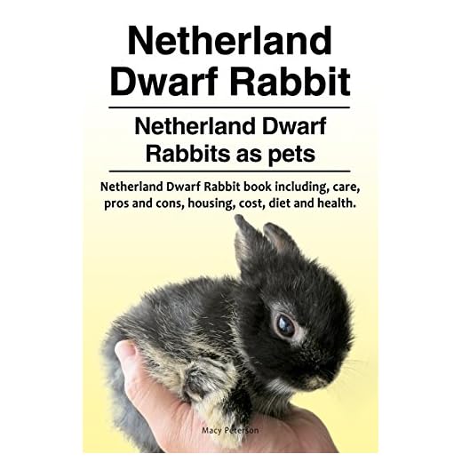 Netherland Dwarf Rabbit. Netherland Dwarf Rabbits as pets. Netherland Dwarf Rabbit book including pros and cons, care, housing, cost, diet and health.