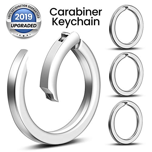 SGODDE Fashion Carabiner Keychain with 3 Matching Key Rings Set, Universal Size, Pure