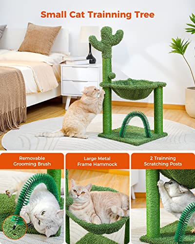 Muttros Cactus Cat Tree For Medium Cats With Arch Cat Self Groomer And Hammock, Cat Scratching Post For Indoor Kitten With Dangling Ball And Full Wrapped Natural Sisal Rope,Green #TOP5