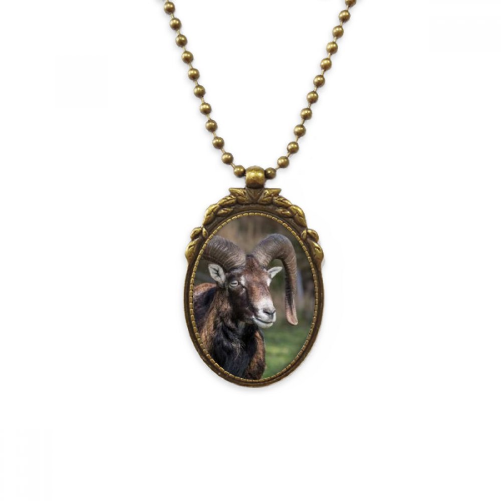 Pendentif Mouton Sciences forestières le bijou idéal pour vos balades - 4