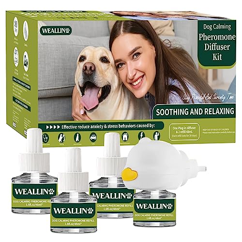 Find The Best Calming Diffuser For Dogs Reviews & Comparison Katynel