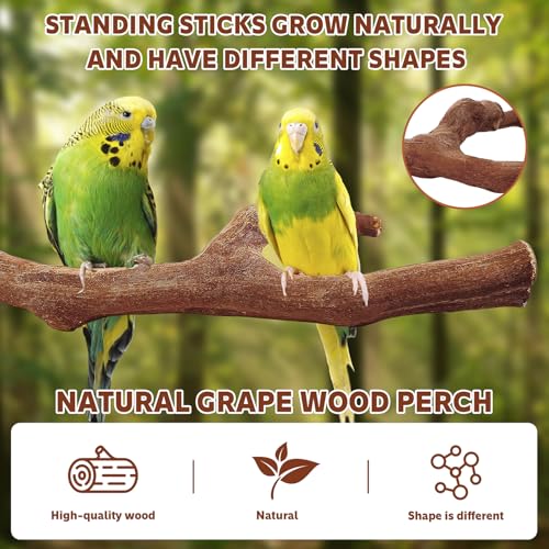 Image of 4PCS Bird Perch Natural Wooden Parrot Stand, 2 Grape Wood Perch, 2 Stand, Paw Grinding Fork Parakeet Chewing Stick Exercise Training Branches for Cockatiels, Small Birds