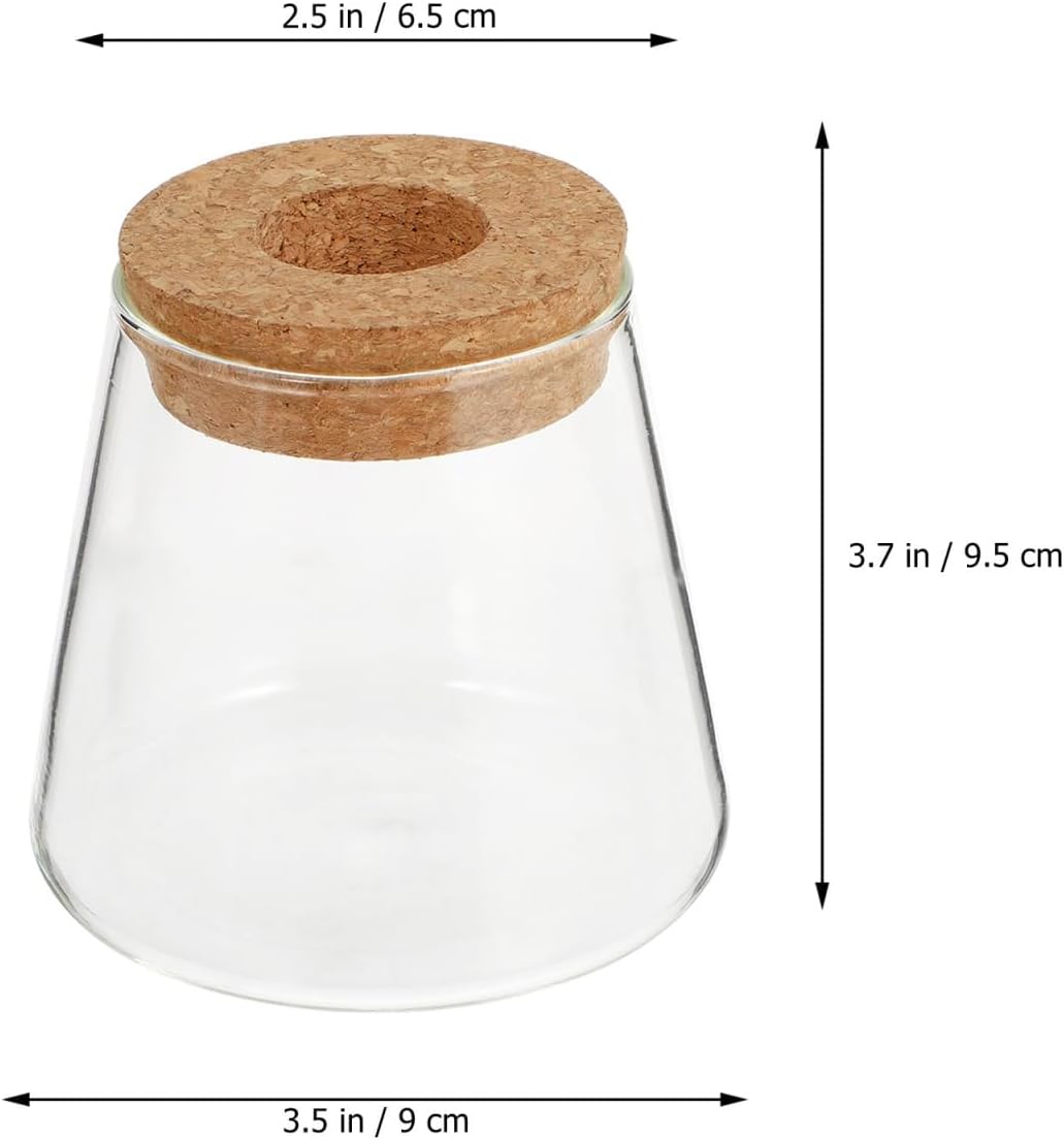 Plants Propagation Station 2Pcs Desktop Plant Terrarium Glass Hydroponic Vases Desktop Vase with Hole Lid for Home Office Table Decoration