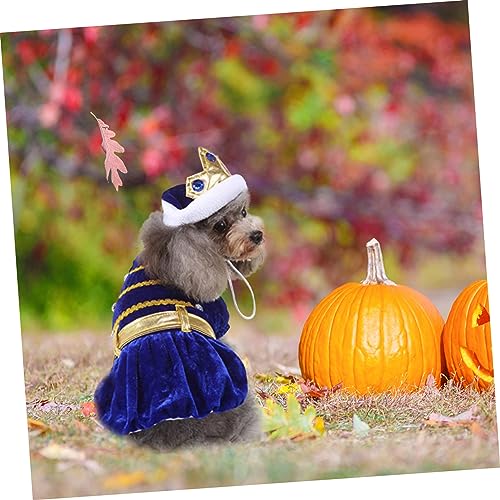 Disfraz para perro y gato Halloween con sombrero miniatura 3