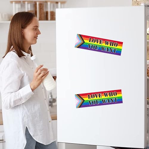 Miniatura 9 de 2 imanes de automóvil de orgullo gay, calcomanías para automóvil, diseño de arcoíris para automóvil LGBTQ, calcomanías de parachoques del mes del