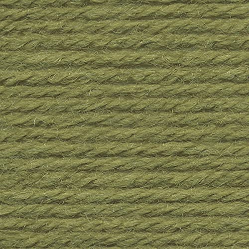 Image of Lion Brand Yarn (1 Skein) Vanna's Choice Yarn, Dusty Green (Pack of 2)