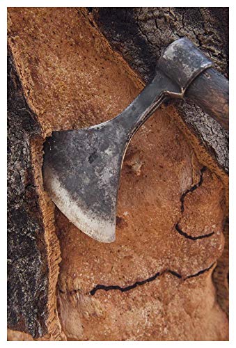 Obras de Arte Italia Corteza de corcho que se cosecha para corchos de vino y otros productos, San Vicente de Alcántara, Extremadura, España-Arte de papel-34"x50"